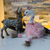 Glitzer-Schwan Doudou rosa 30 cm