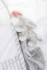 Lucien Baby Kuscheltuch grauer Welpe